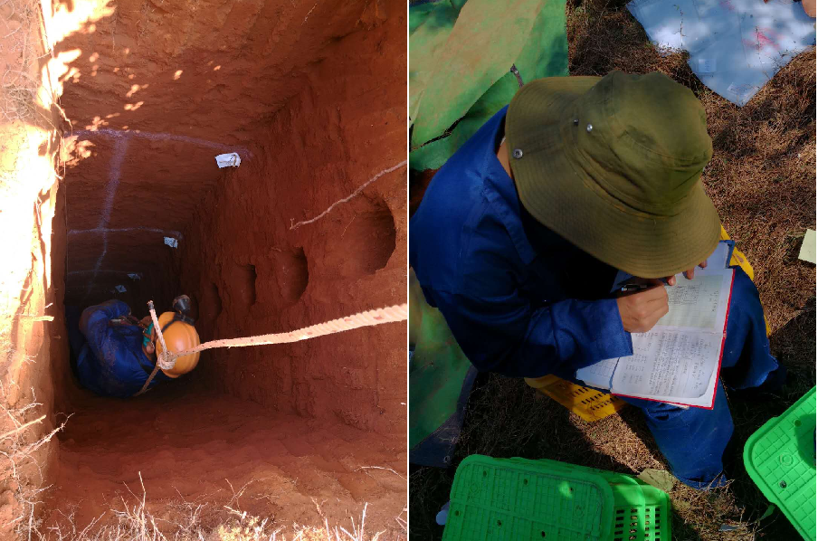 圖片關(guān)鍵詞