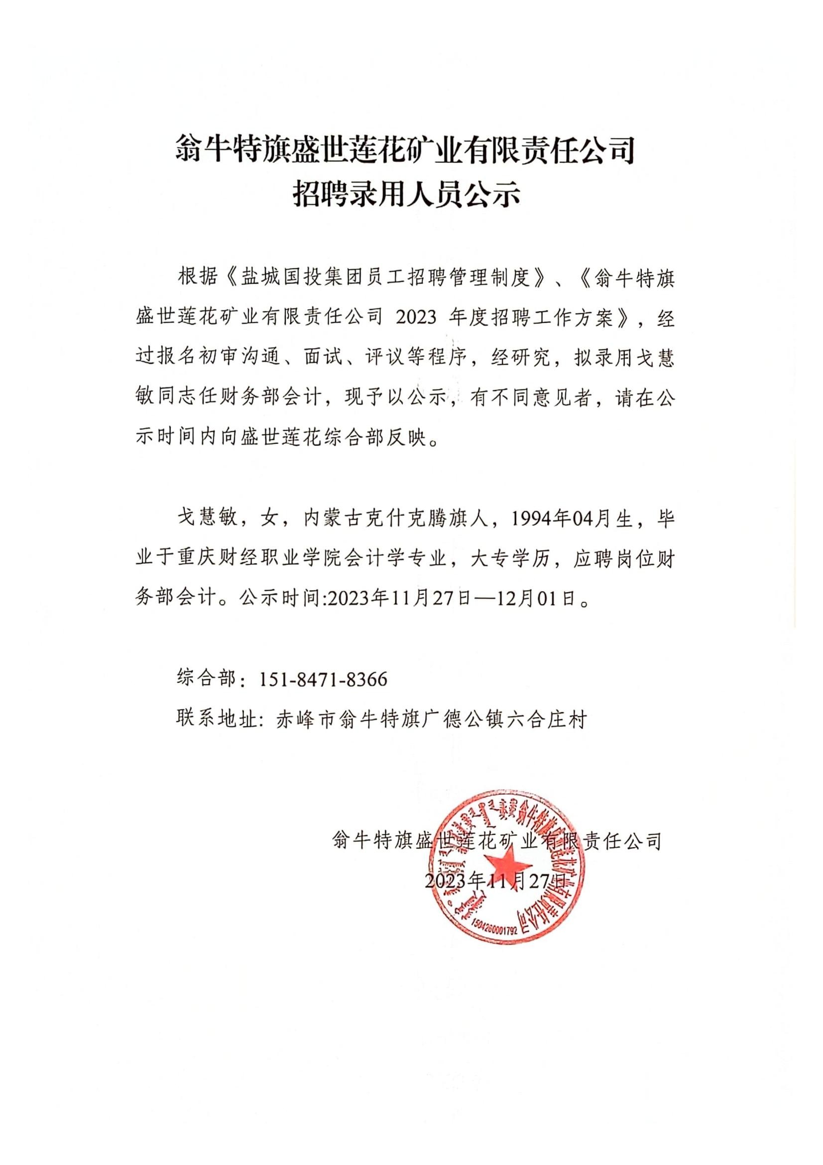 中色地科|礦產(chǎn)勘查|