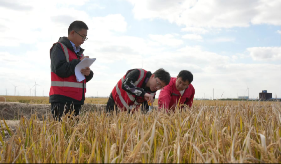 中色地科|礦產(chǎn)勘查|