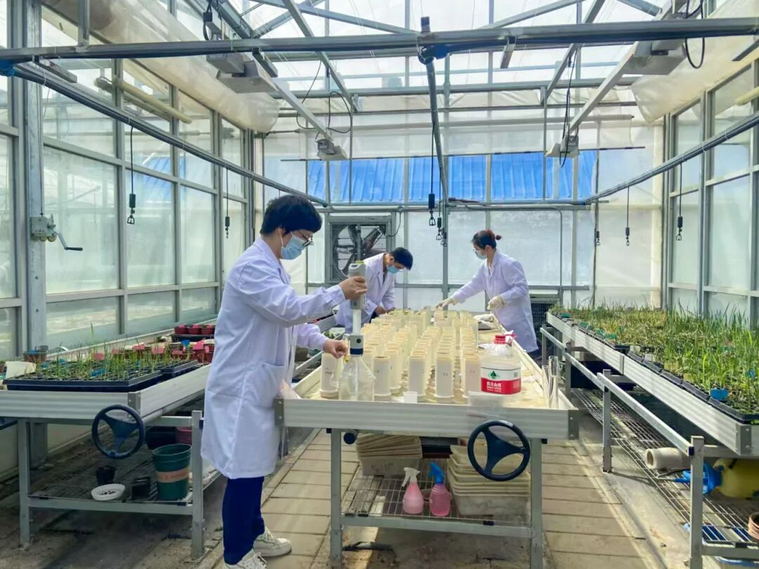 中色地科|礦產(chǎn)勘查|